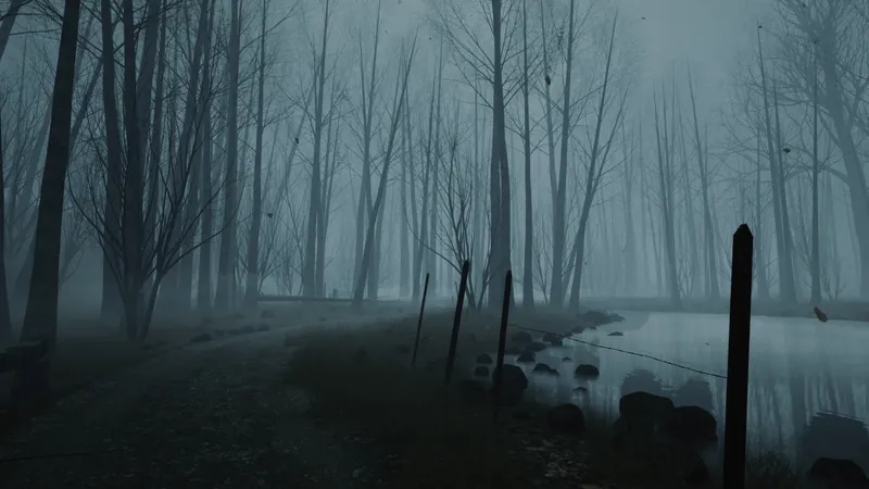 A shore path along a fence into a foggy forest