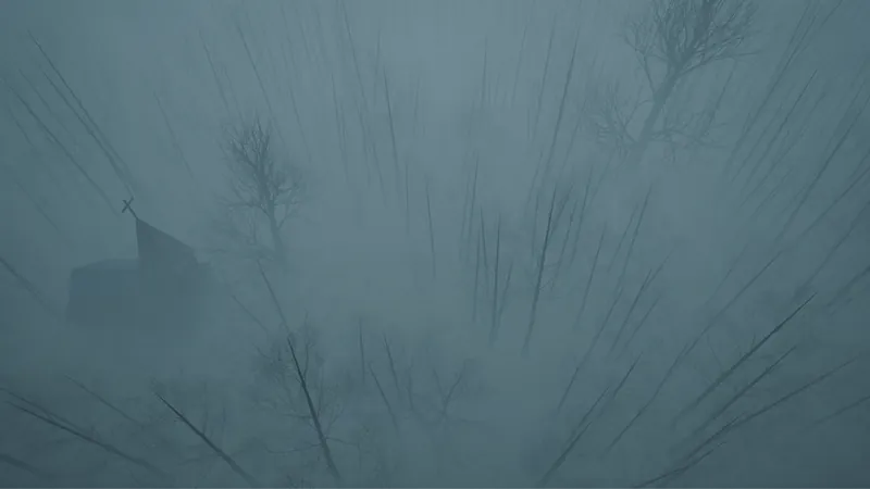 A view through tall reeds into the fog